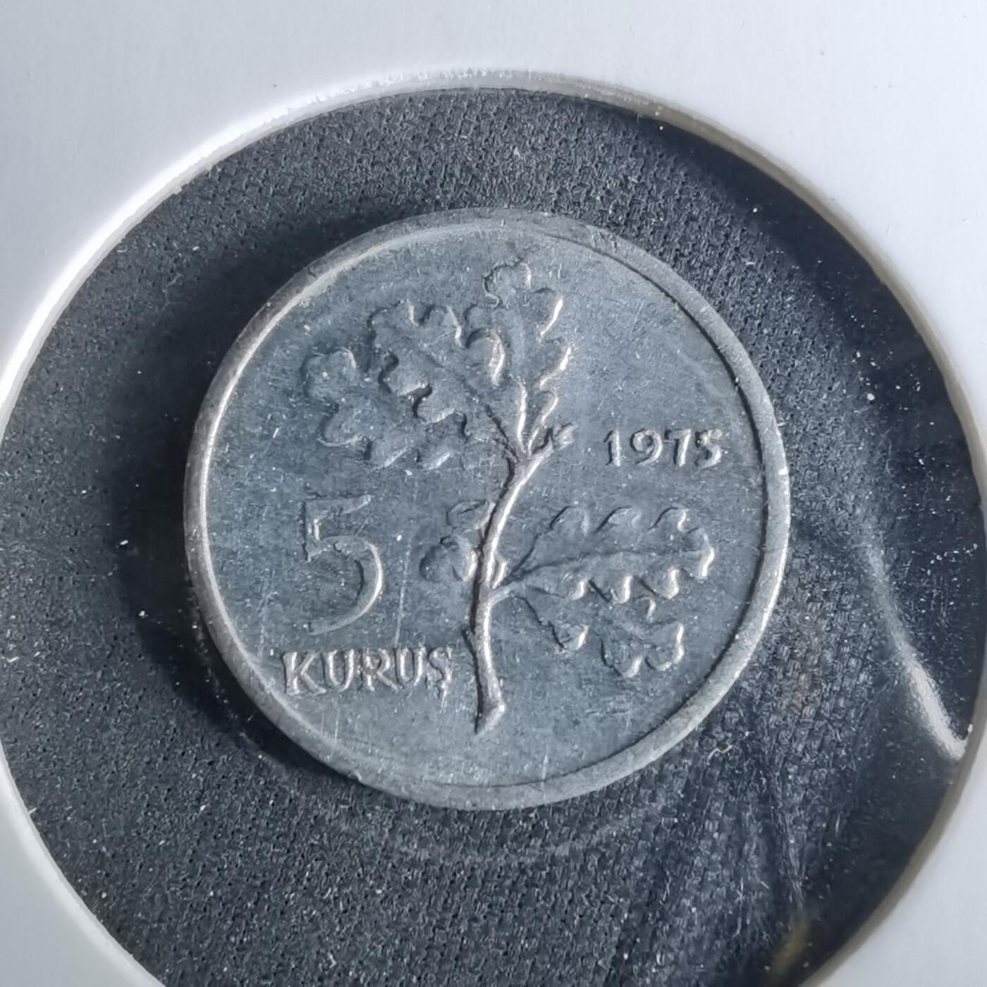 沼泽如烟--第956场