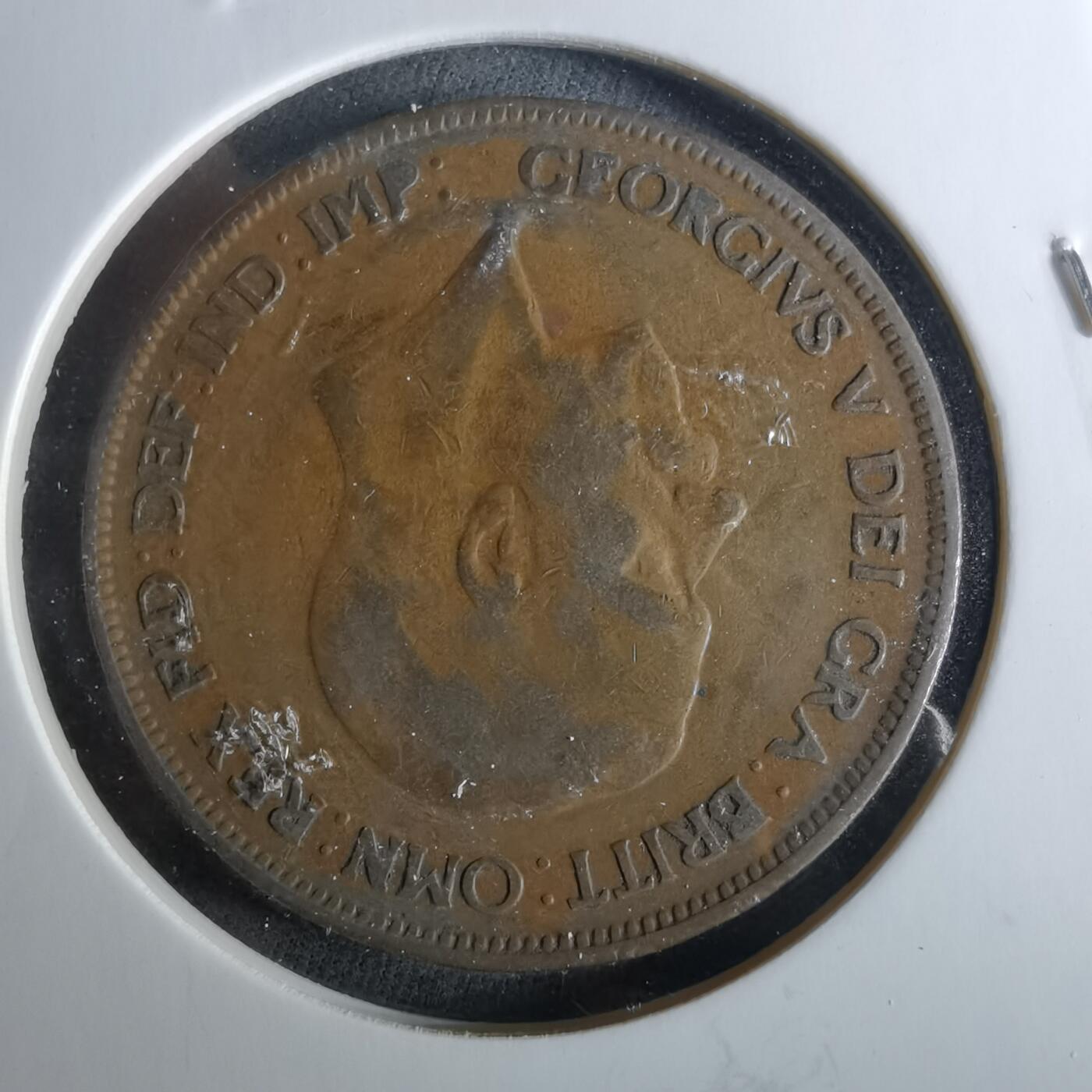 沼泽如烟--第956场