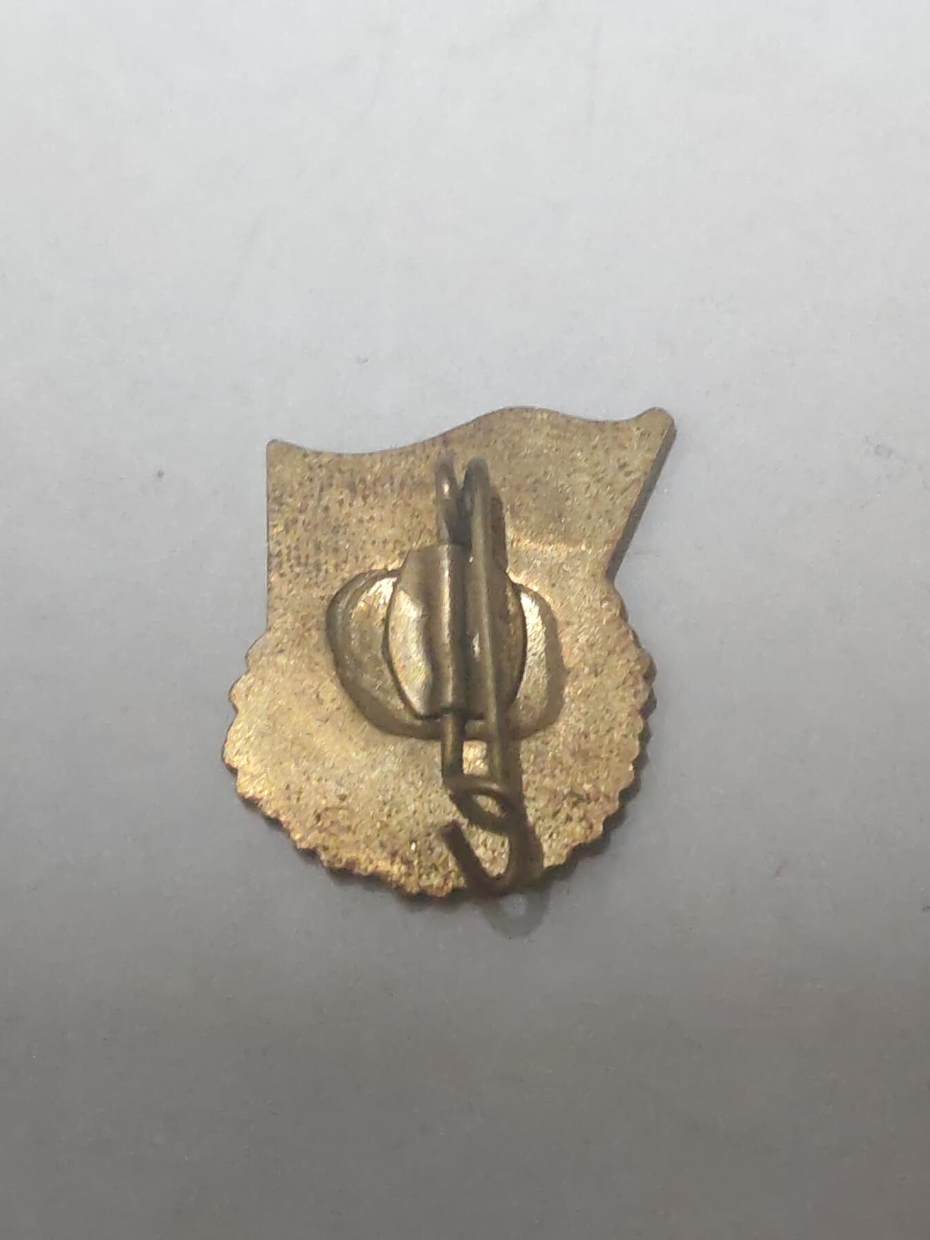 韵星假日拍卖第三十六期 -- Rimey Holidays Auction 36 民主德国自由德国青年团金级良好知识证章