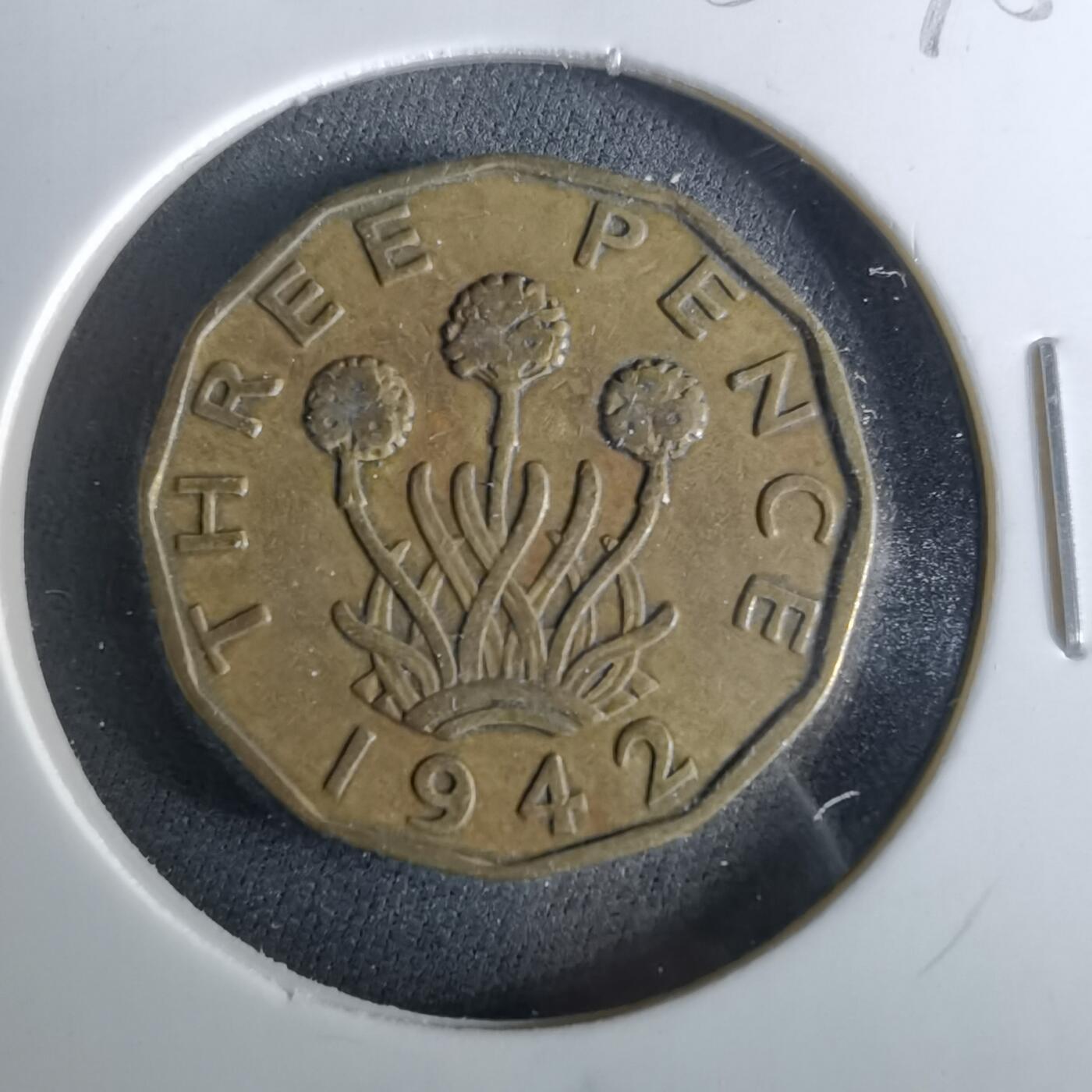 沼泽如烟--第956场