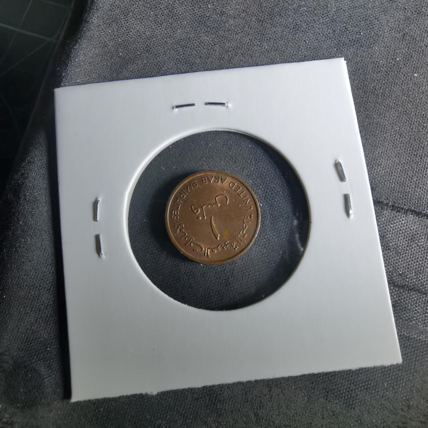 沼泽如烟--第956场