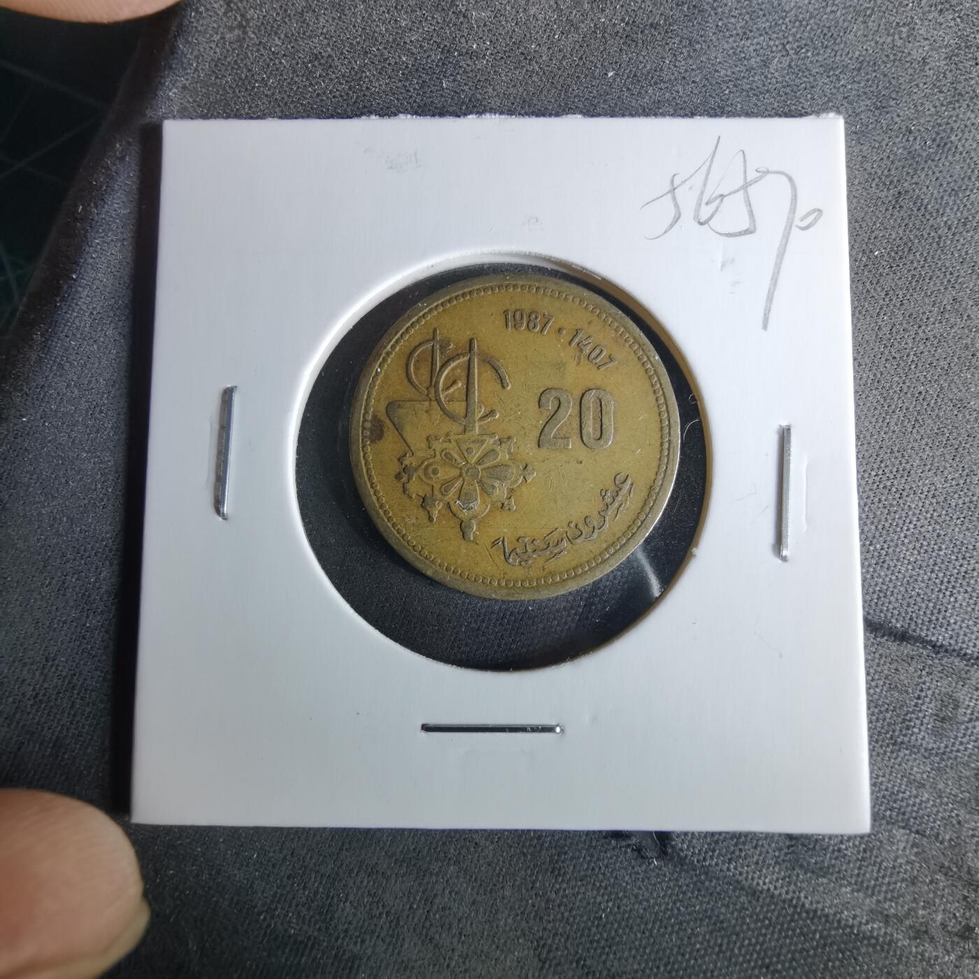 沼泽如烟--第956场