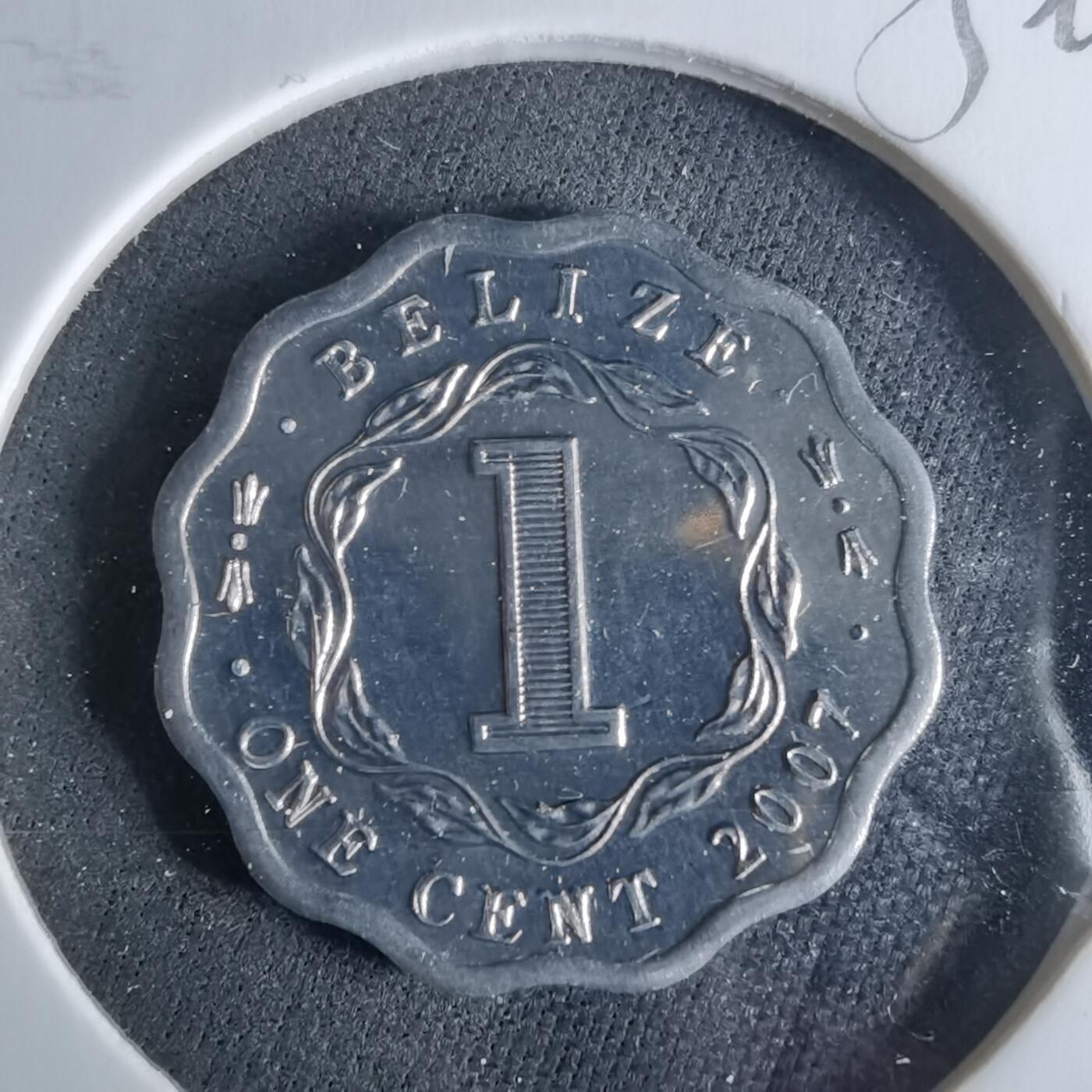 沼泽如烟--第956场