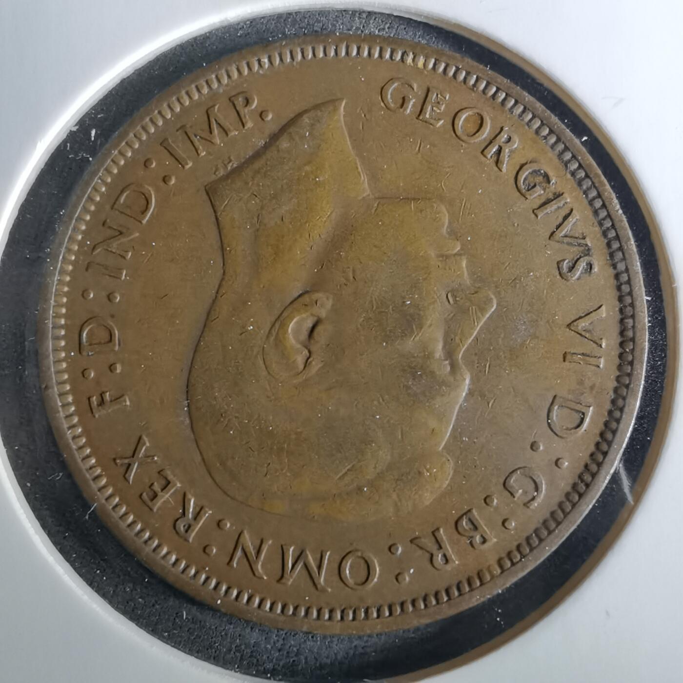 沼泽如烟--第956场