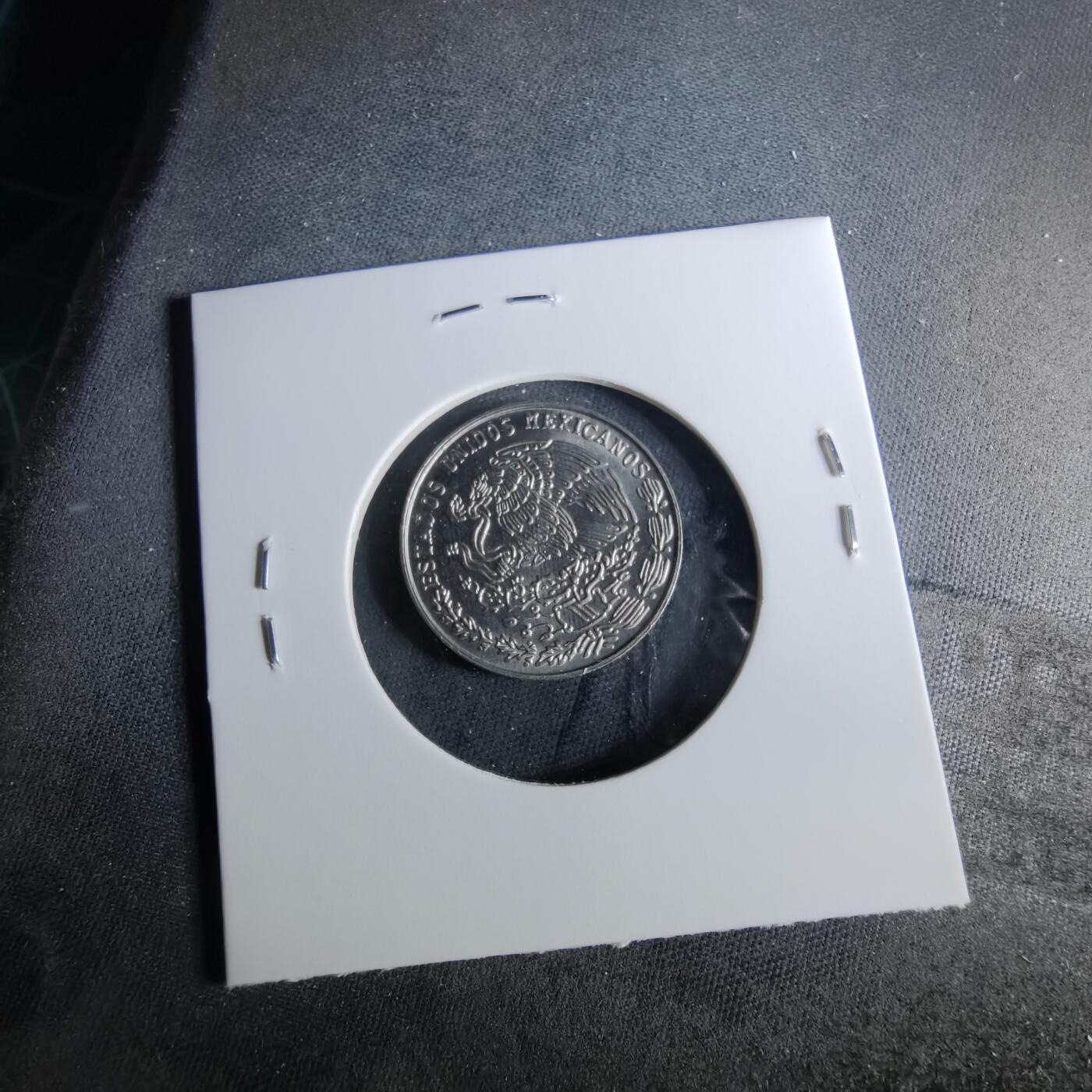 沼泽如烟--第956场