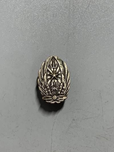 远东徽章小铺1月11日周日晚上9点结束 - 飞行操纵徽章