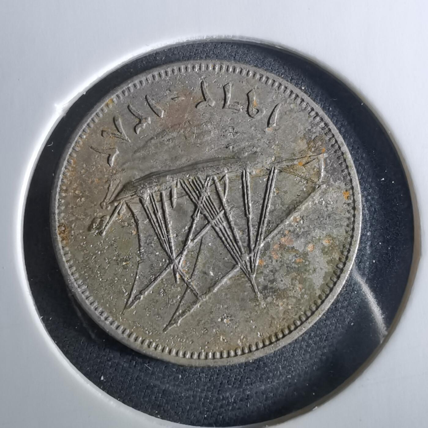 沼泽如烟--第956场 科威特