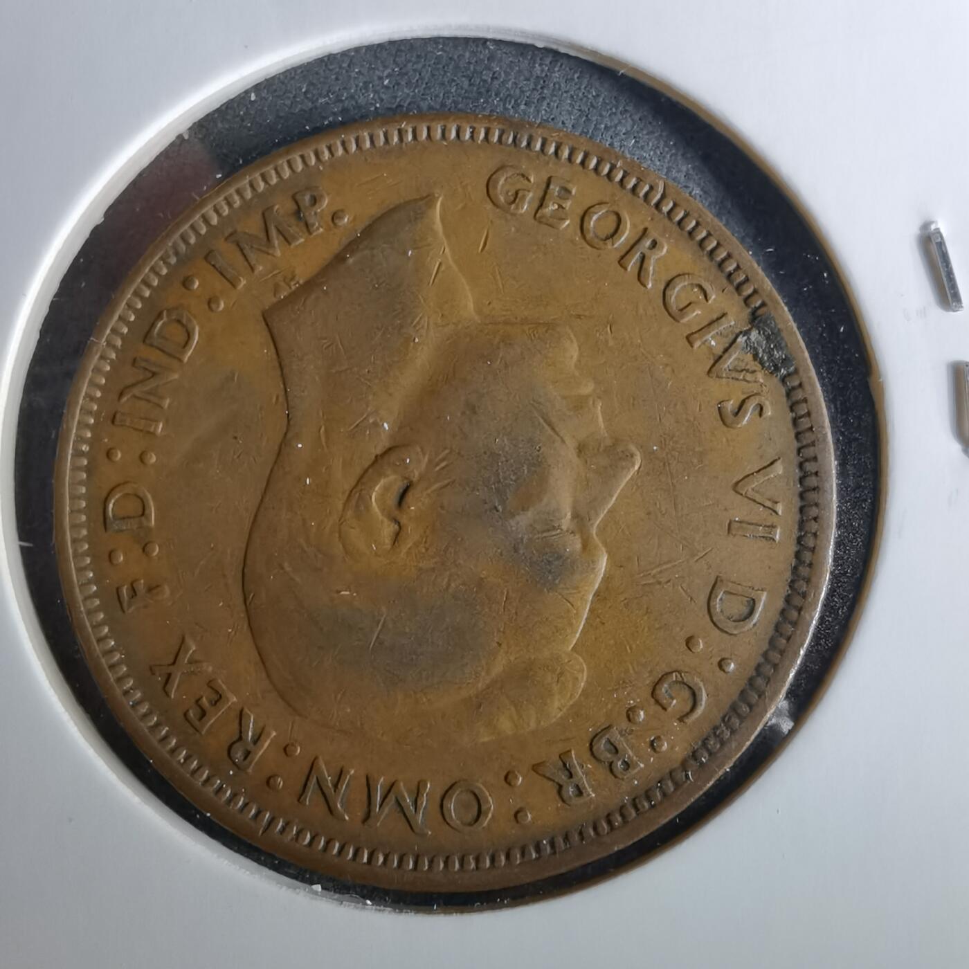 沼泽如烟--第956场