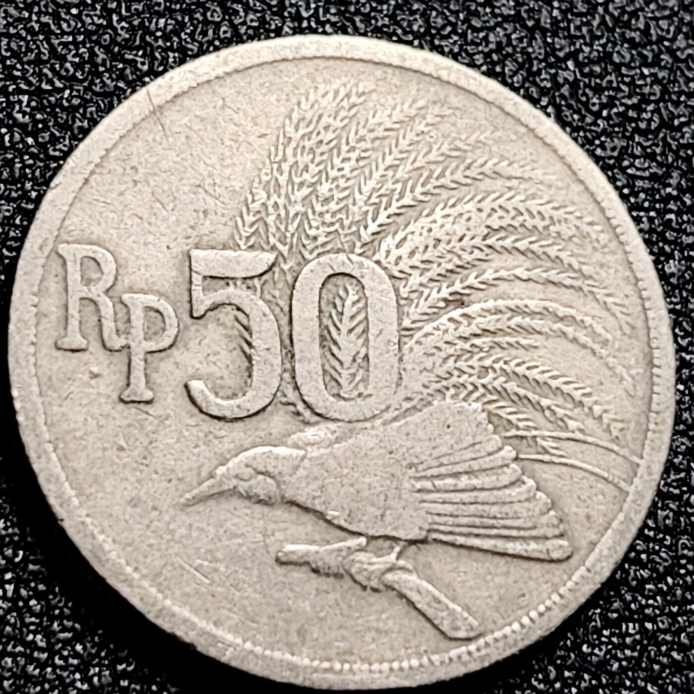 泉币菌-第167场- 精品福利场 。