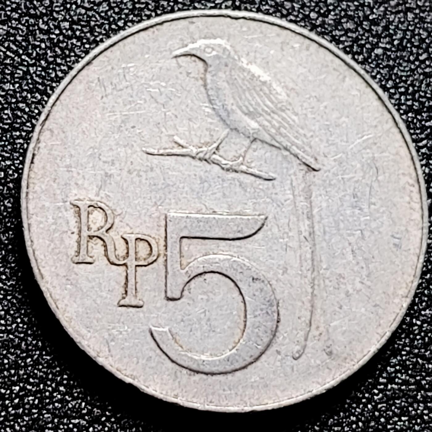 泉币菌-第167场- 精品福利场 。