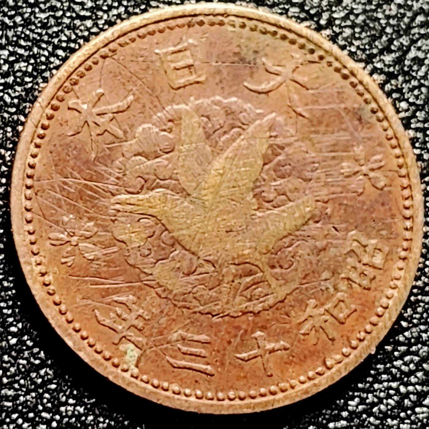 泉币菌-第167场- 精品福利场 。