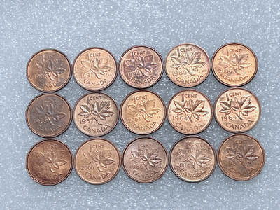 第一海外回流一元起拍收藏 散集专场  第289期 - 加拿大枫叶1分硬币 15枚
