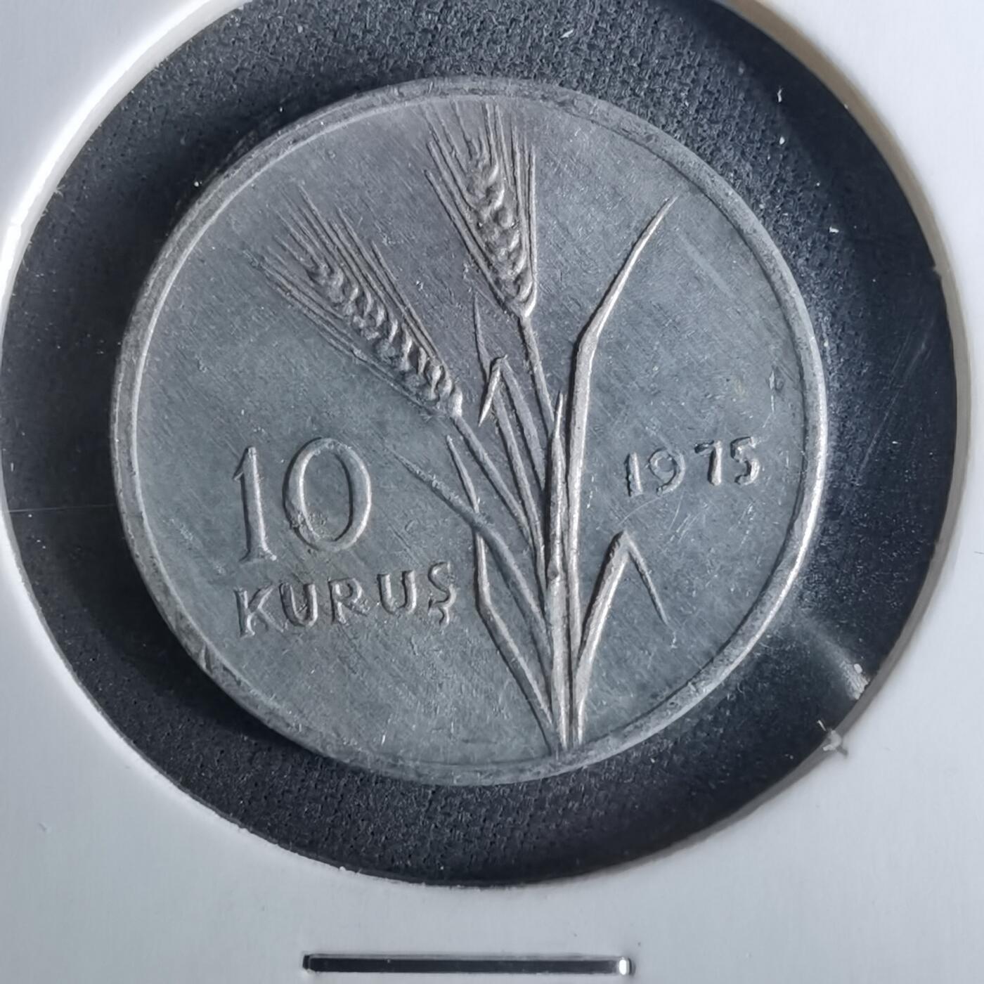 沼泽如烟--第956场