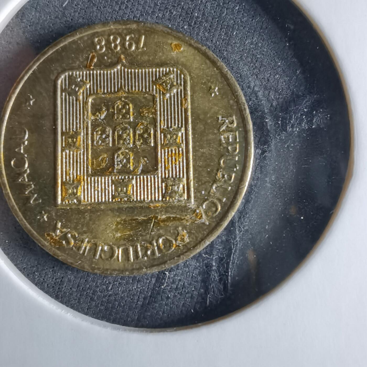 沼泽如烟--第956场