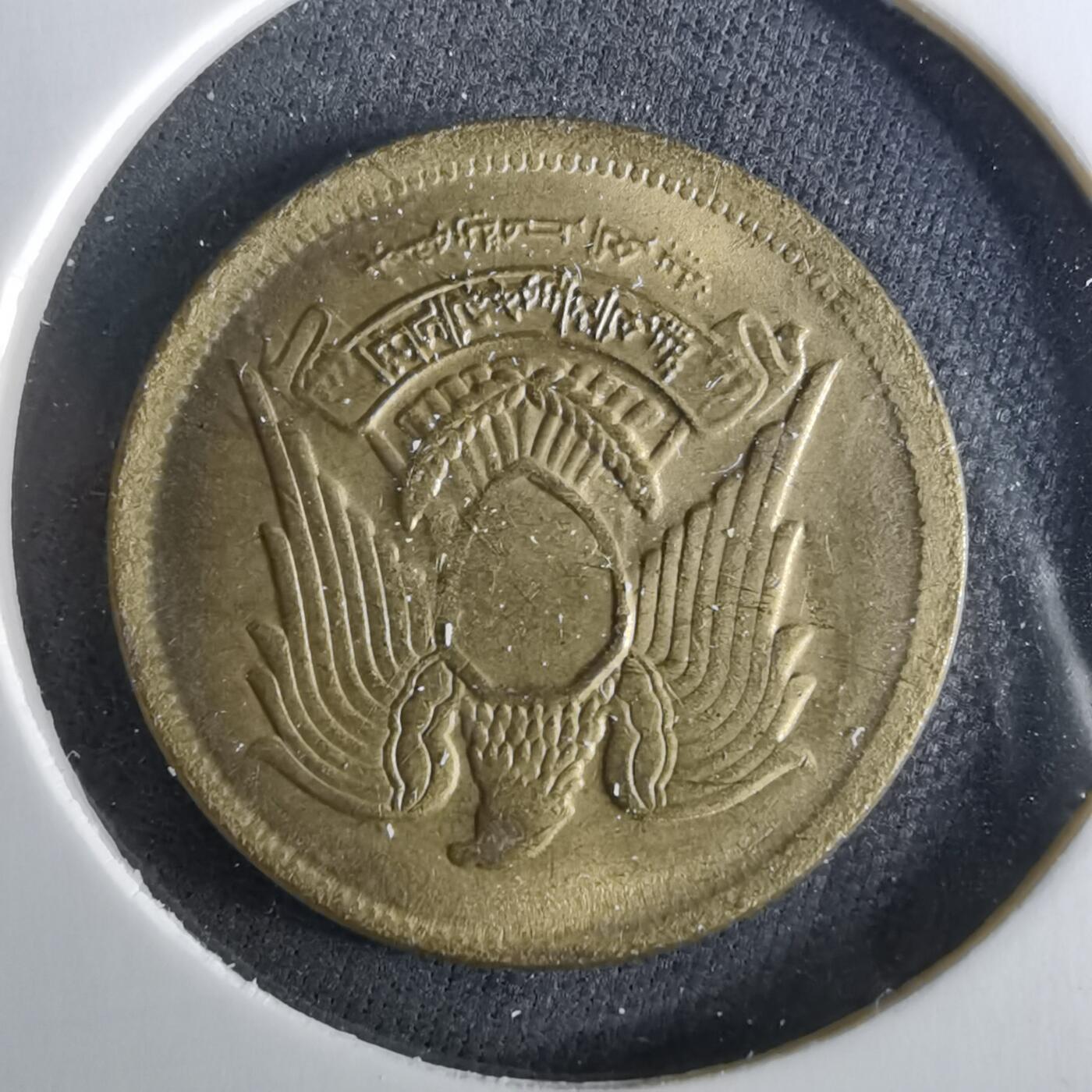 沼泽如烟--第956场 埃及