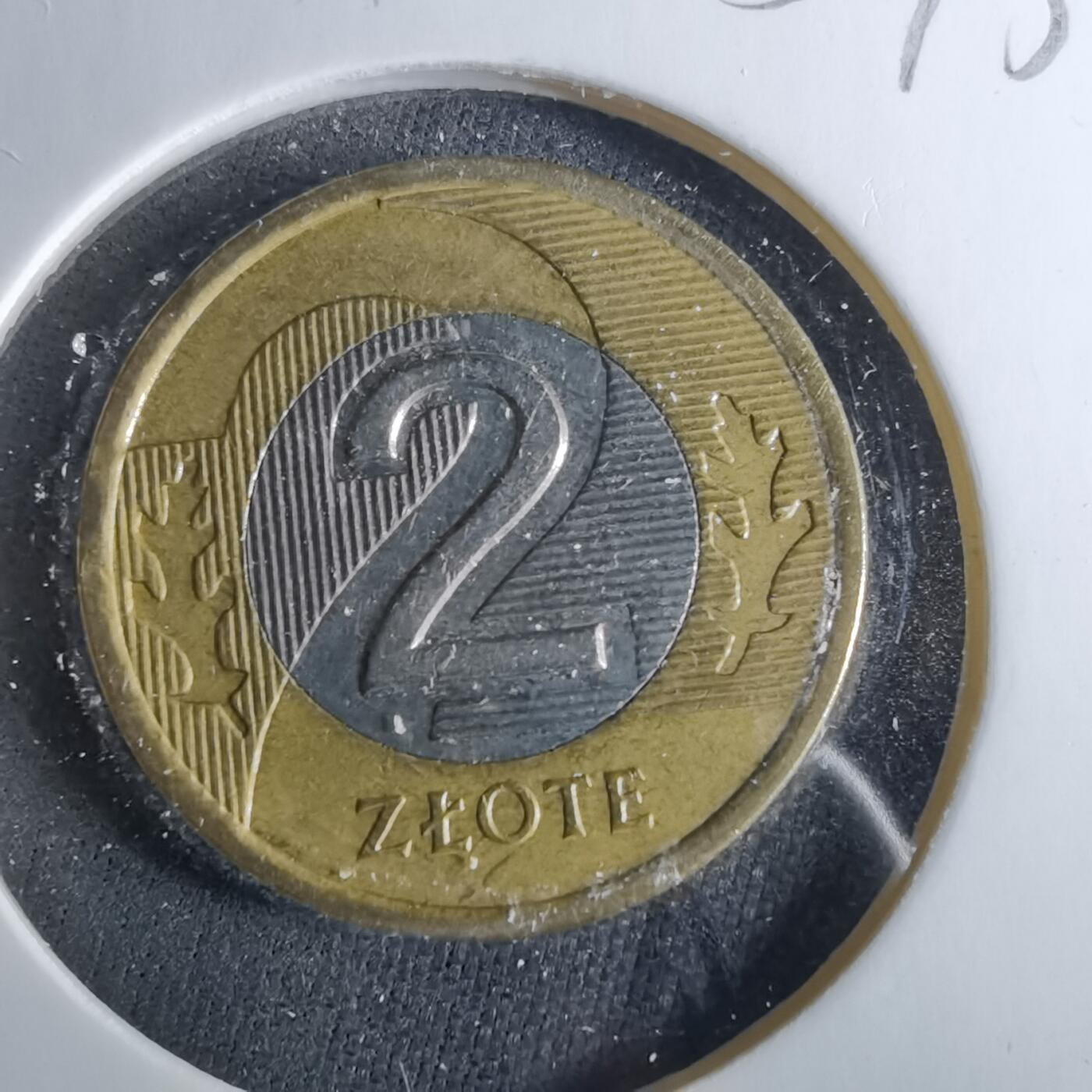 沼泽如烟--第956场