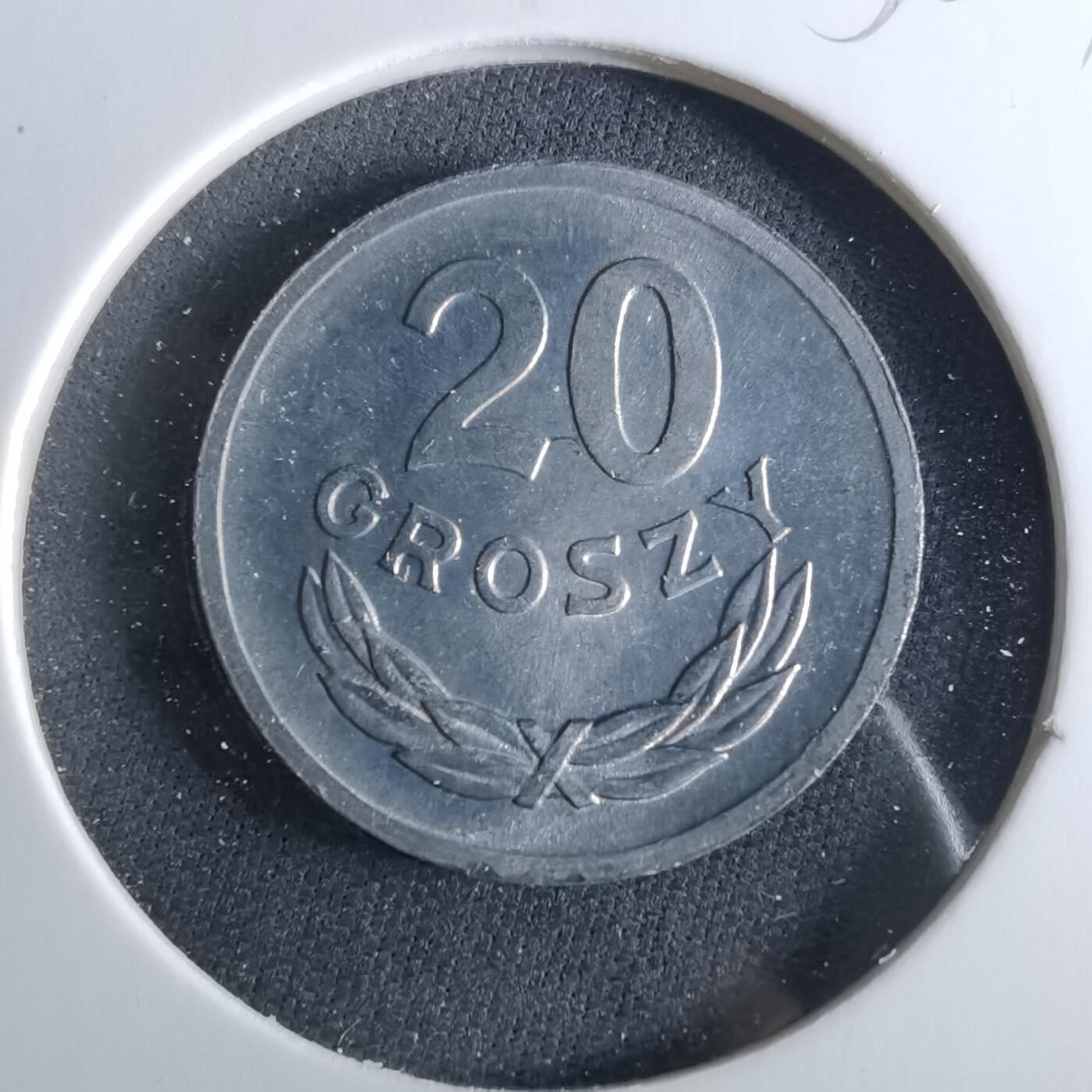 沼泽如烟--第956场