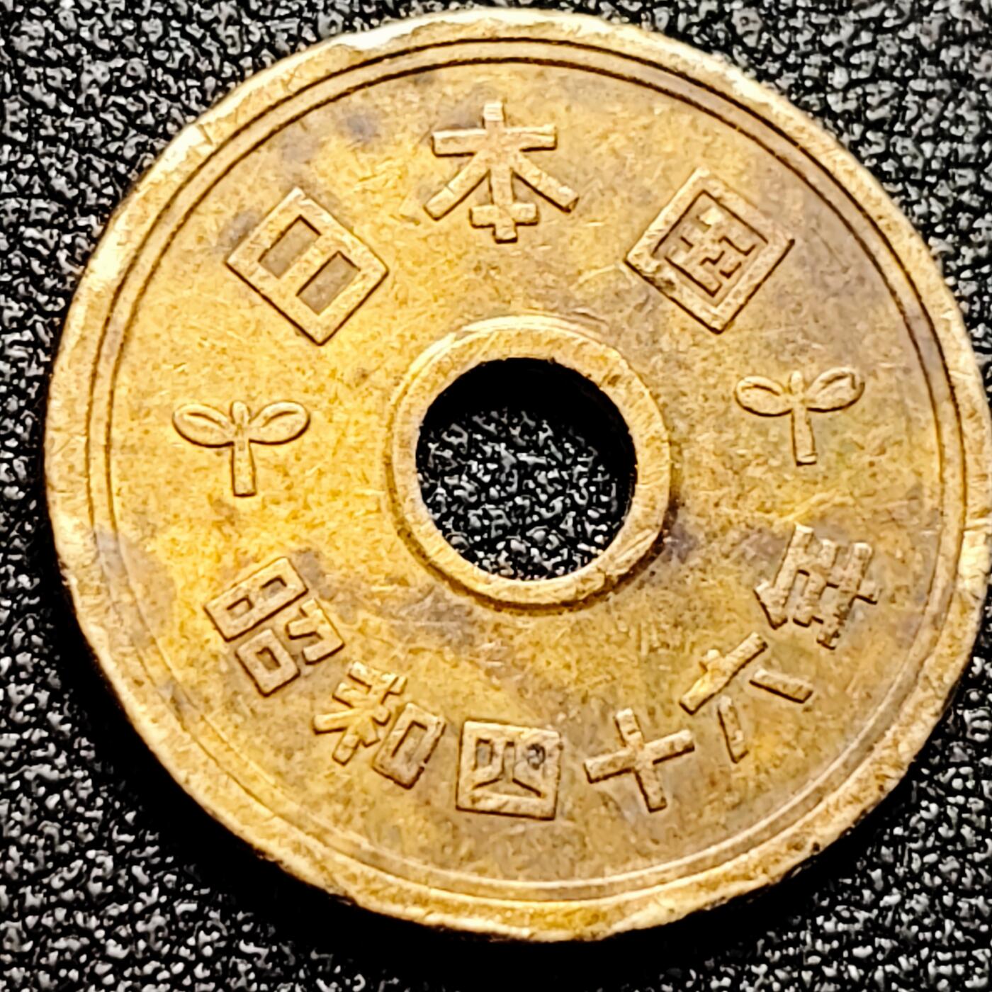 泉币菌-第167场- 精品福利场 。