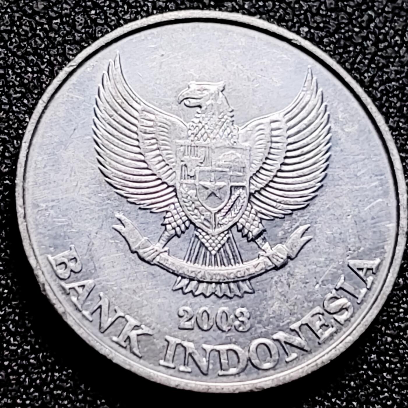 泉币菌-第167场- 精品福利场 。