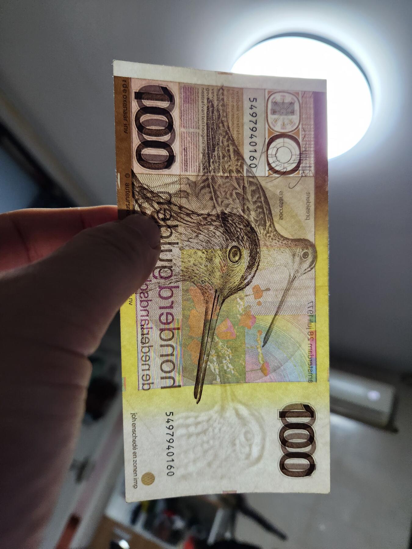 1月10号晚上8点 外国纸币自动截拍第82场 荷兰 1977年版 100盾 水鸟 近新极美品