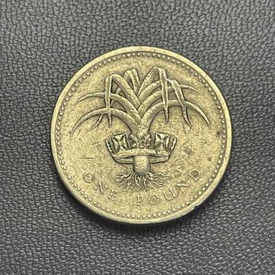 回流0110 - 英国1985年1英镑黄铜加厚硬币 威尔士韭