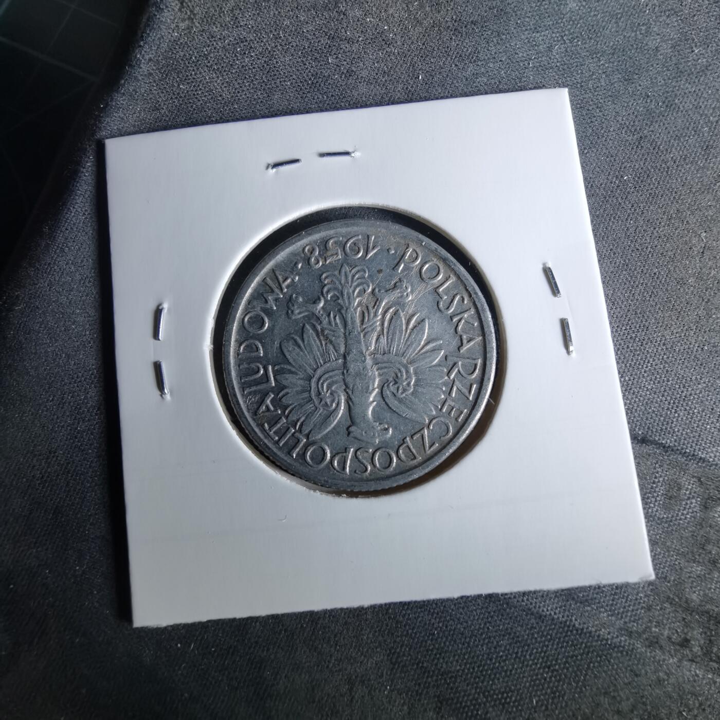 沼泽如烟--第956场