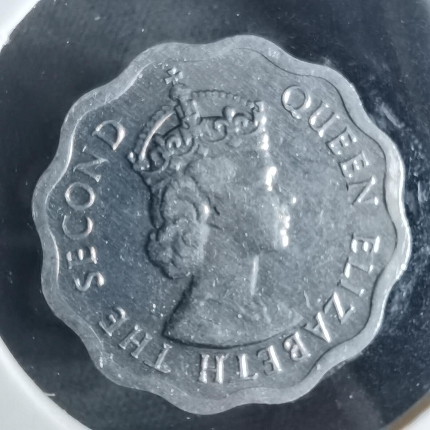 沼泽如烟--第956场