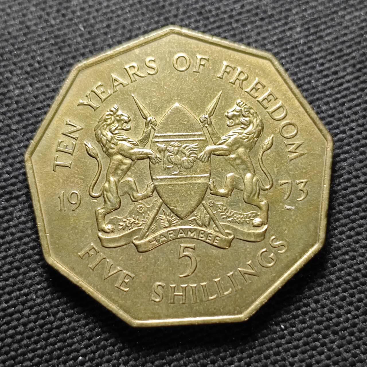 KK钱币收藏小铺  第399期  百期特拍（四拍之三）2月预留时间 周末发货  1973肯尼亚5先令铜币 多边形铜币 不多见