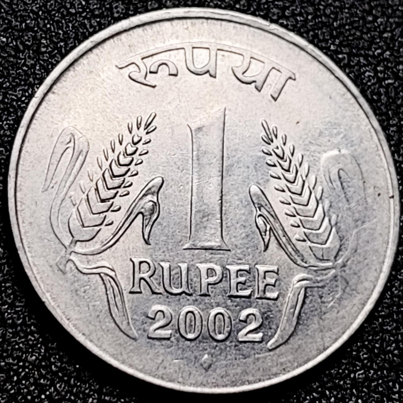 泉币菌-第167场- 精品福利场 。