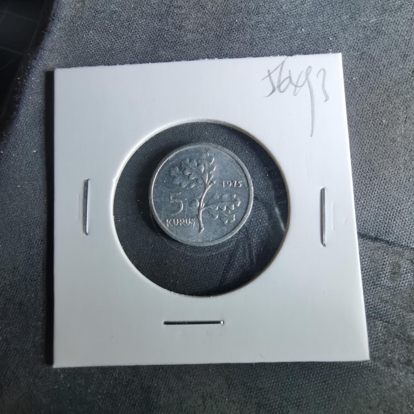 沼泽如烟--第956场