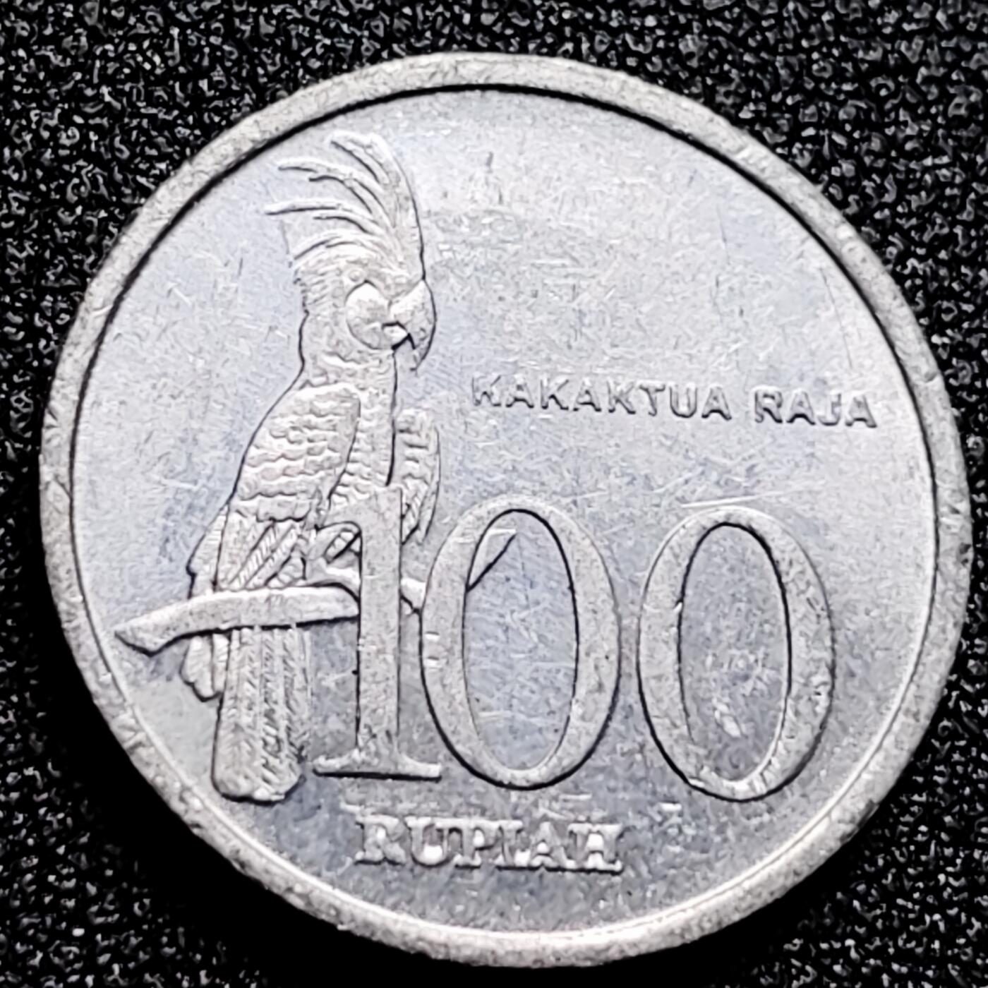 泉币菌-第167场- 精品福利场 。