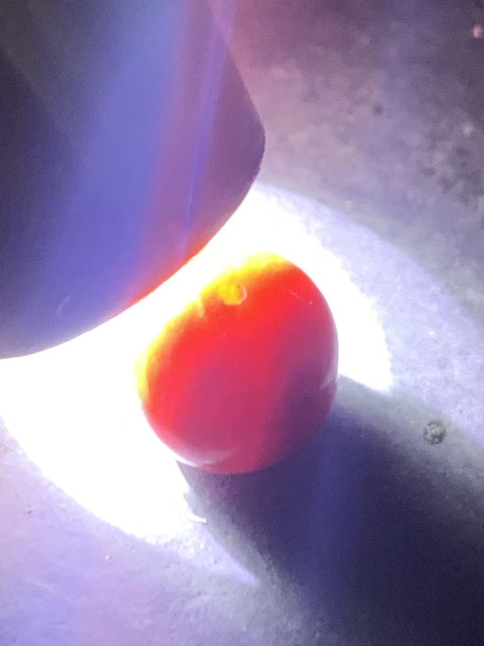 川料冰飘柿子红南红玛瑙随形老形桶珠一颗！配串利器！