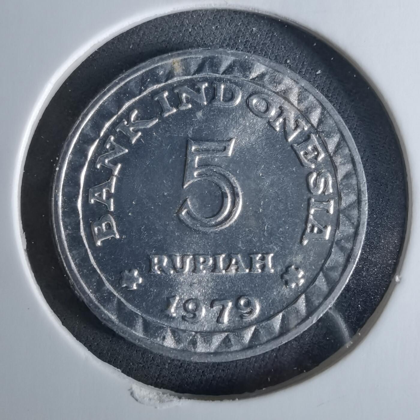 沼泽如烟--第956场