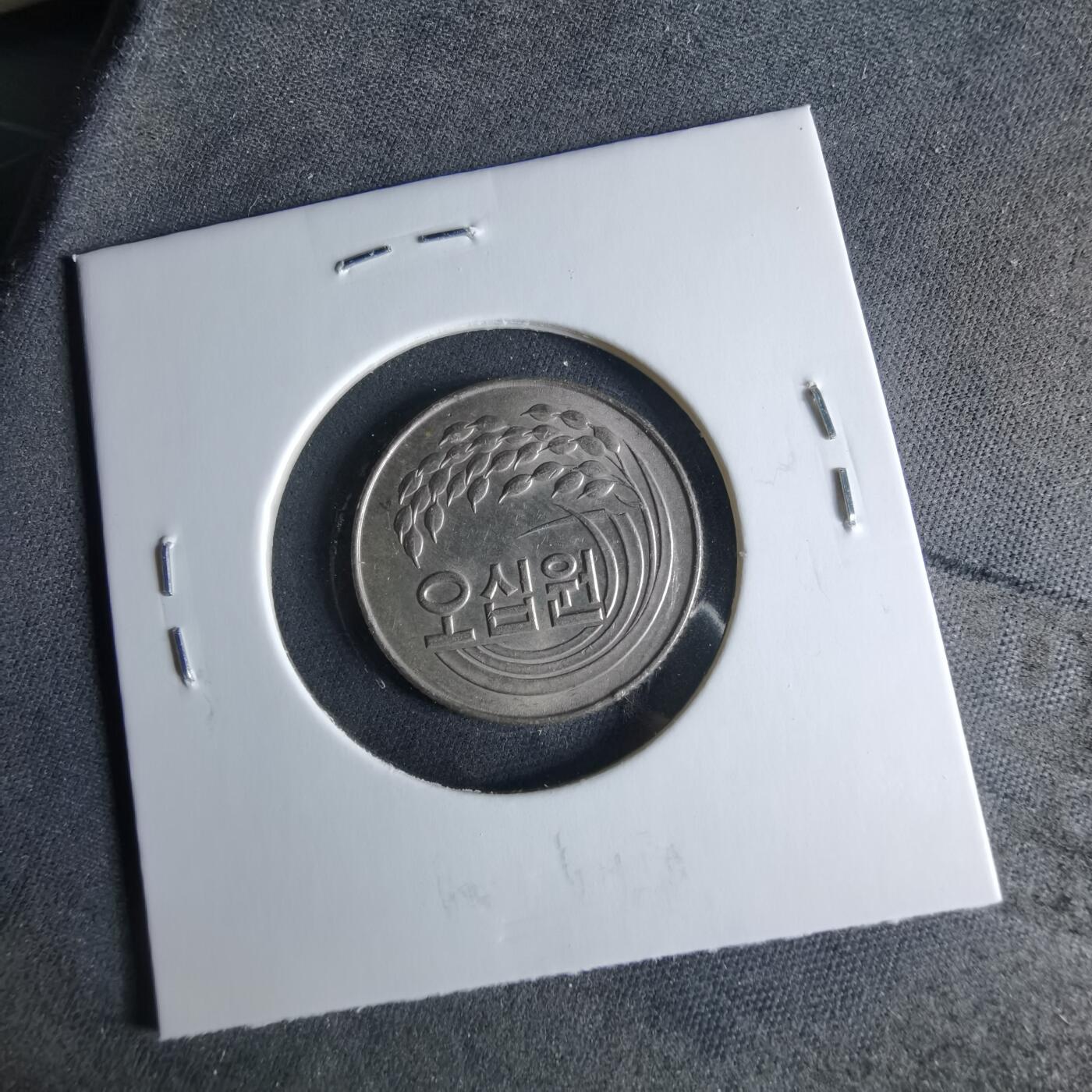 沼泽如烟--第956场