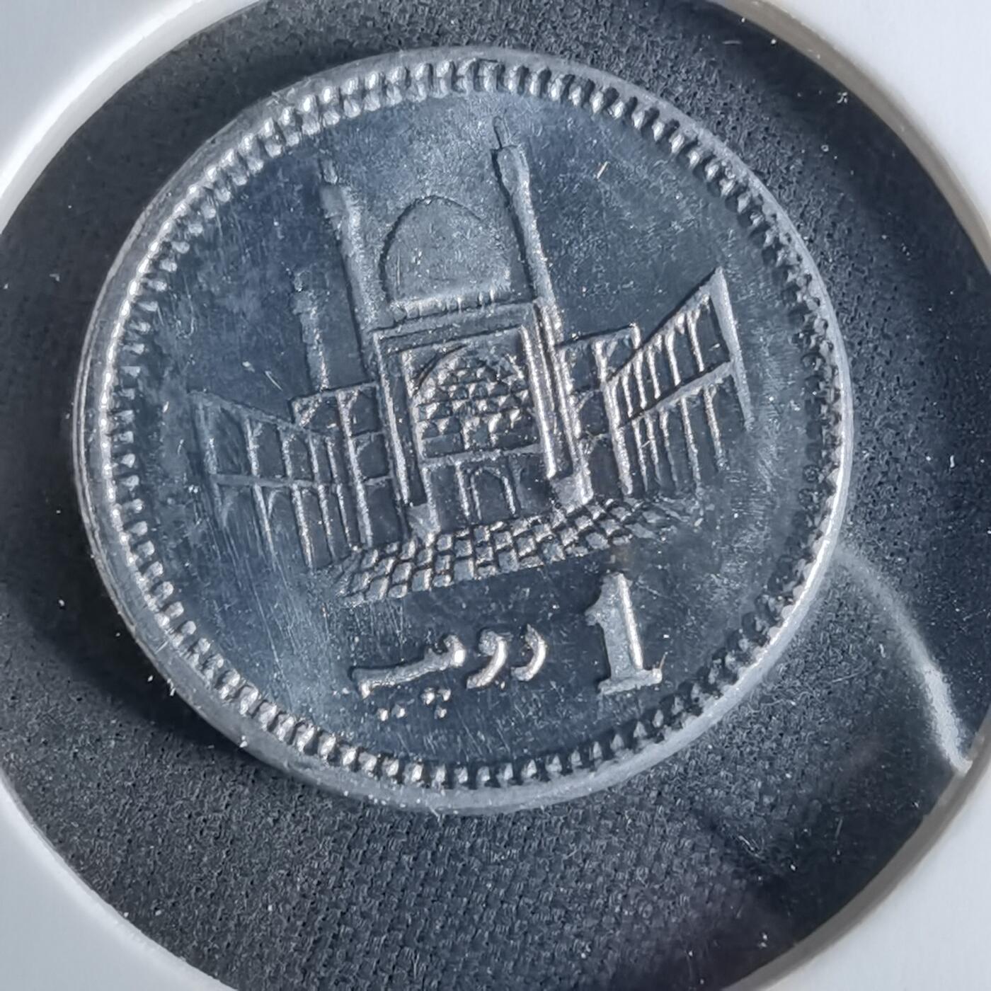 沼泽如烟--第956场