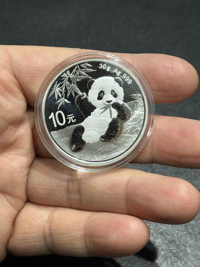 《外钞收藏家》第六百零一期（畅拍场）（本平台长期征集拍品、欢迎藏友们联系合作） - 2020年熊猫银币 30克 一枚 裸币