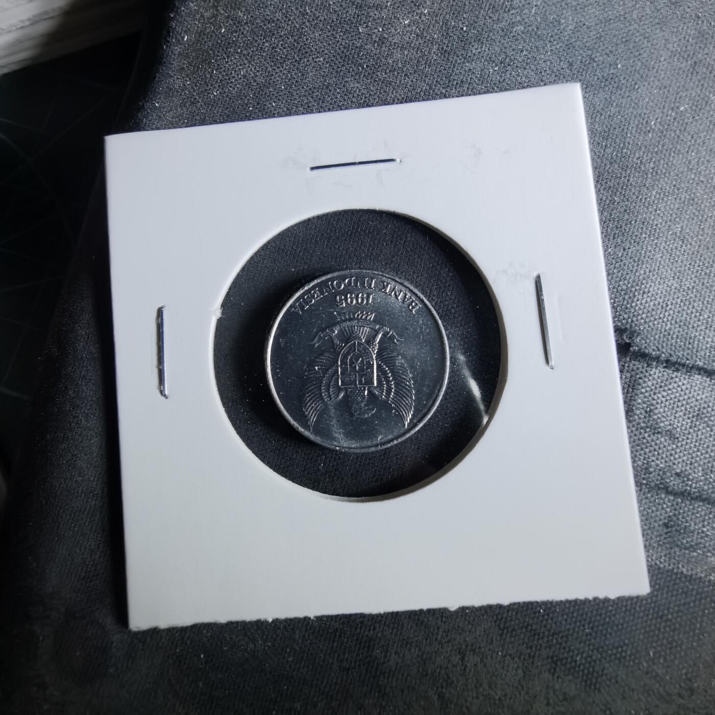 沼泽如烟--第956场