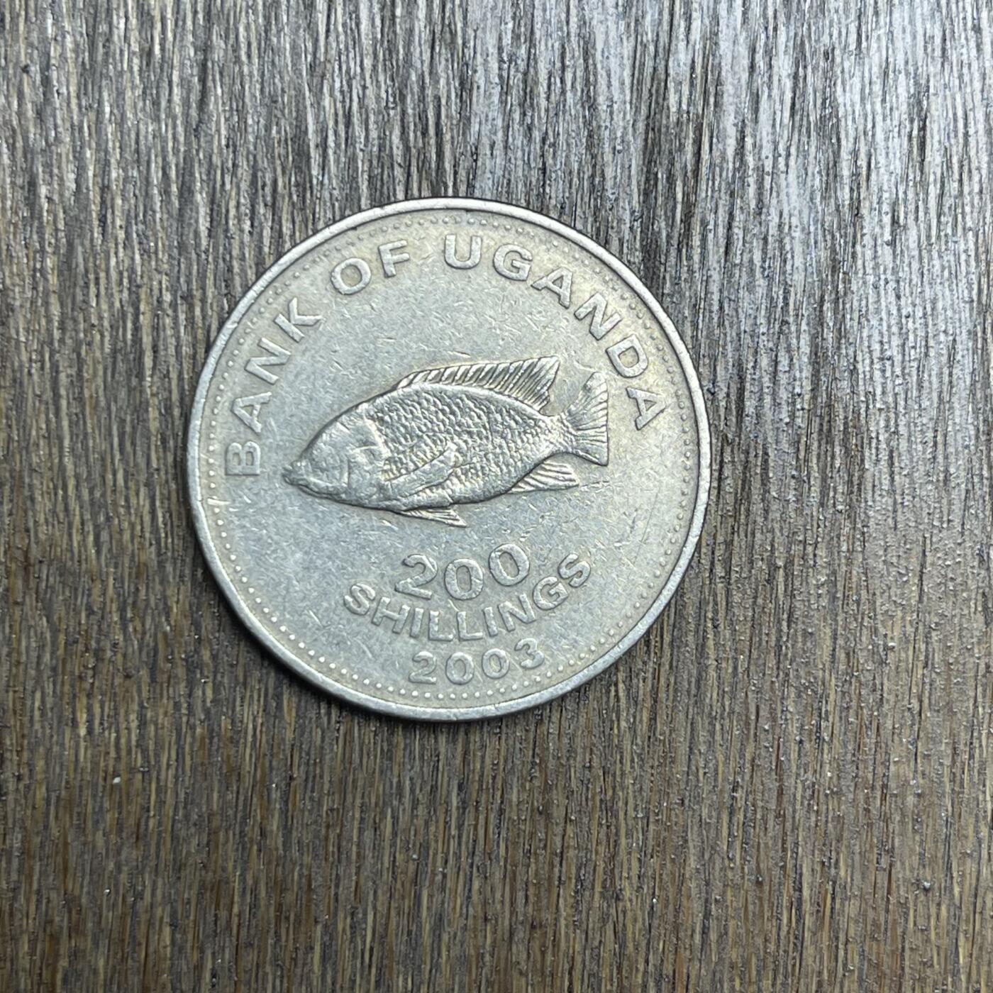 【铜匠收藏】★第137场★散币场。不寄存，30包邮。不满30元，支付5元运费。《接受代拍 代送NGC评级》