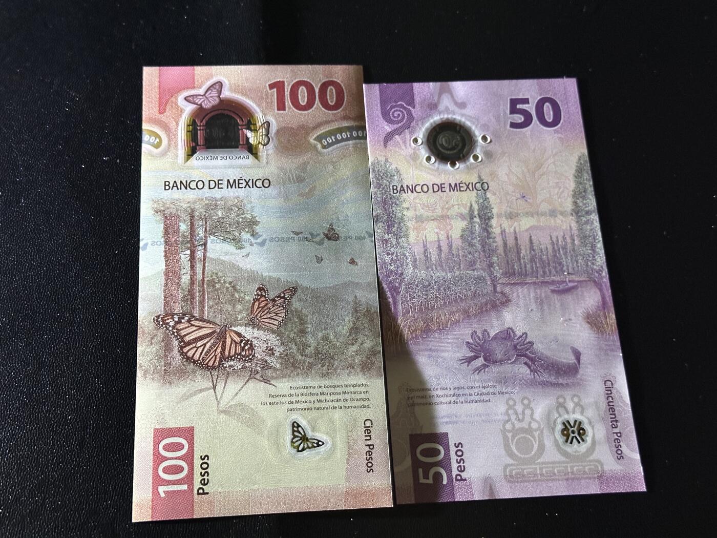 《外钞收藏家》第六百零一期（畅拍场）（本平台长期征集拍品、欢迎藏友们联系合作） 墨西哥新版50比索（AA字冠）+100比索一对（都是IBNS世界最佳，全程无4）	绝品