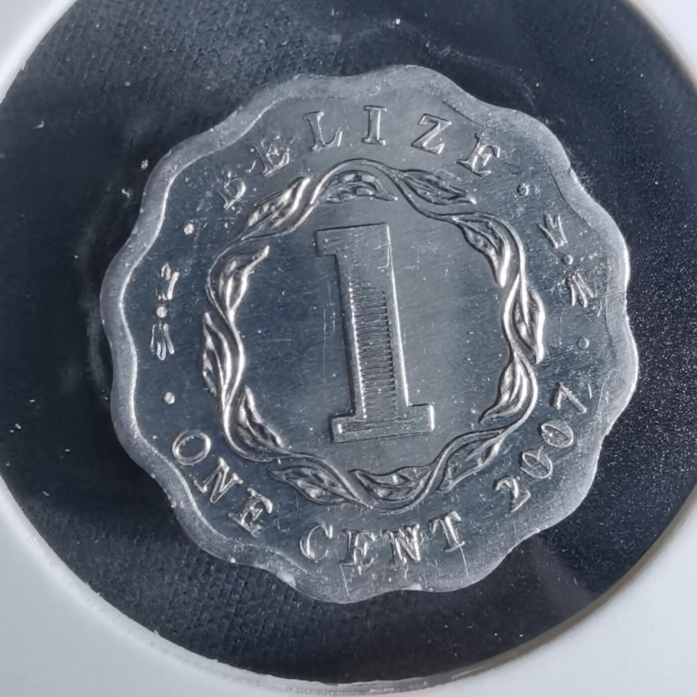 沼泽如烟--第956场