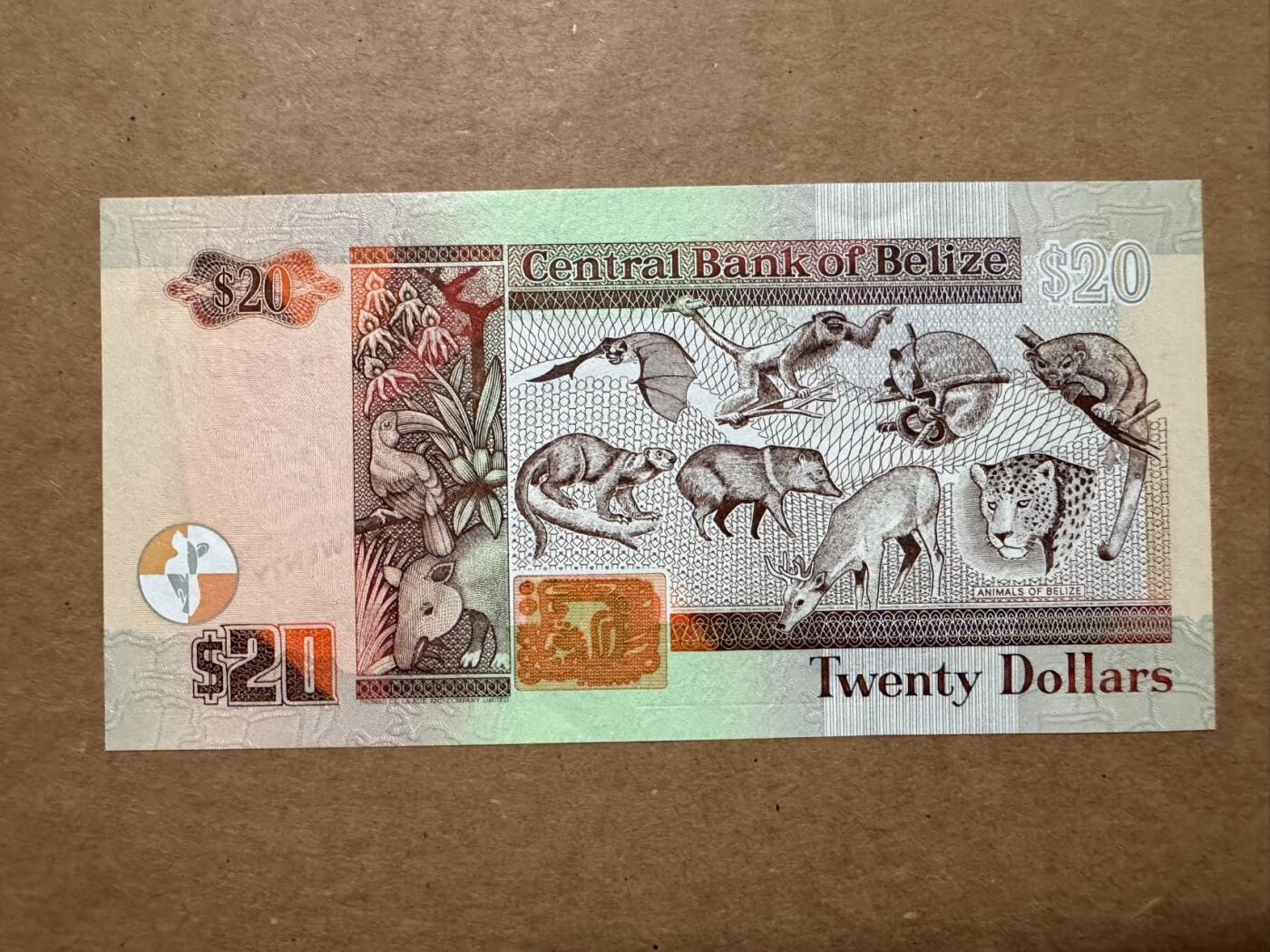 🐍甜小邱世界纸币收藏🐍第139期精品场💐