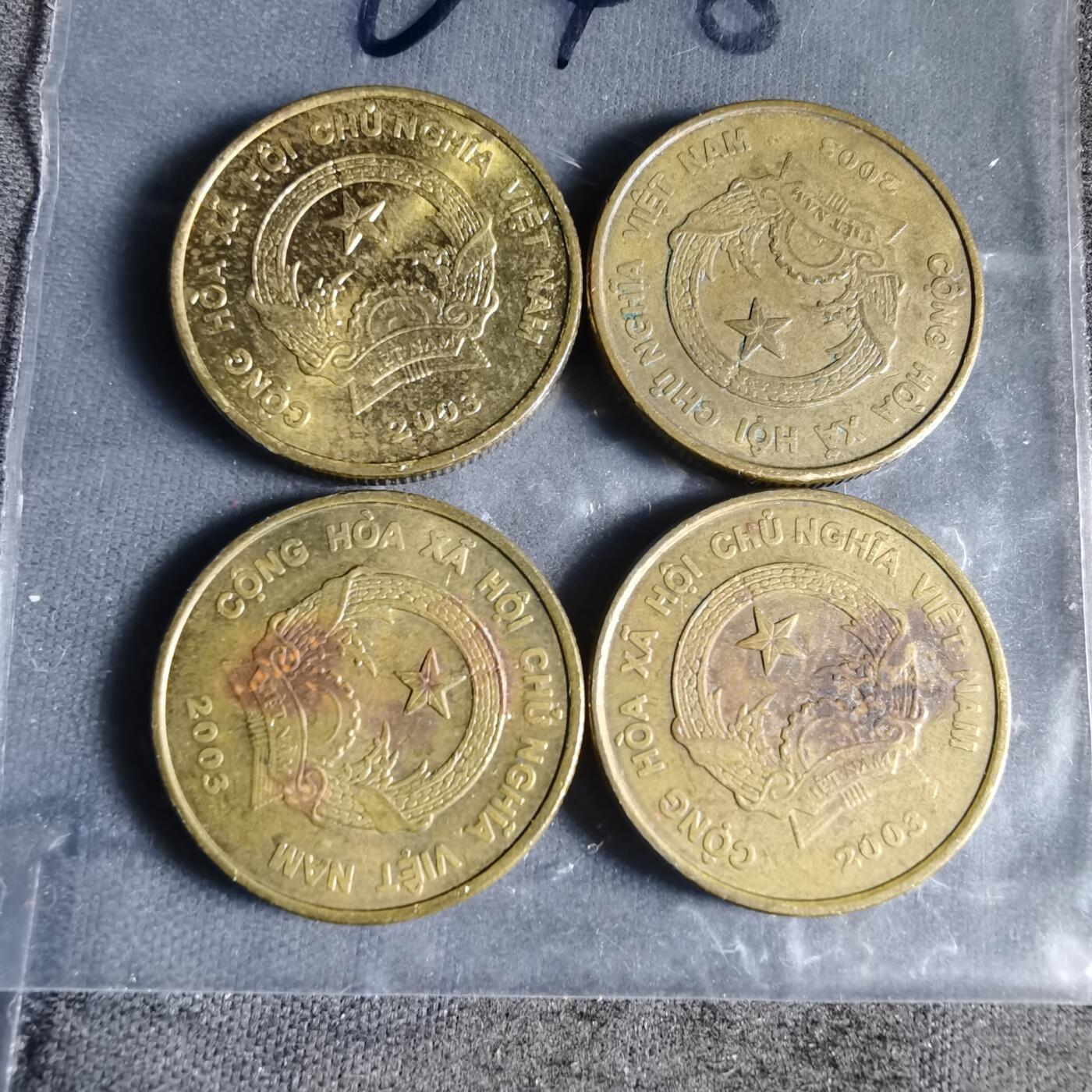 沼泽如烟--第956场