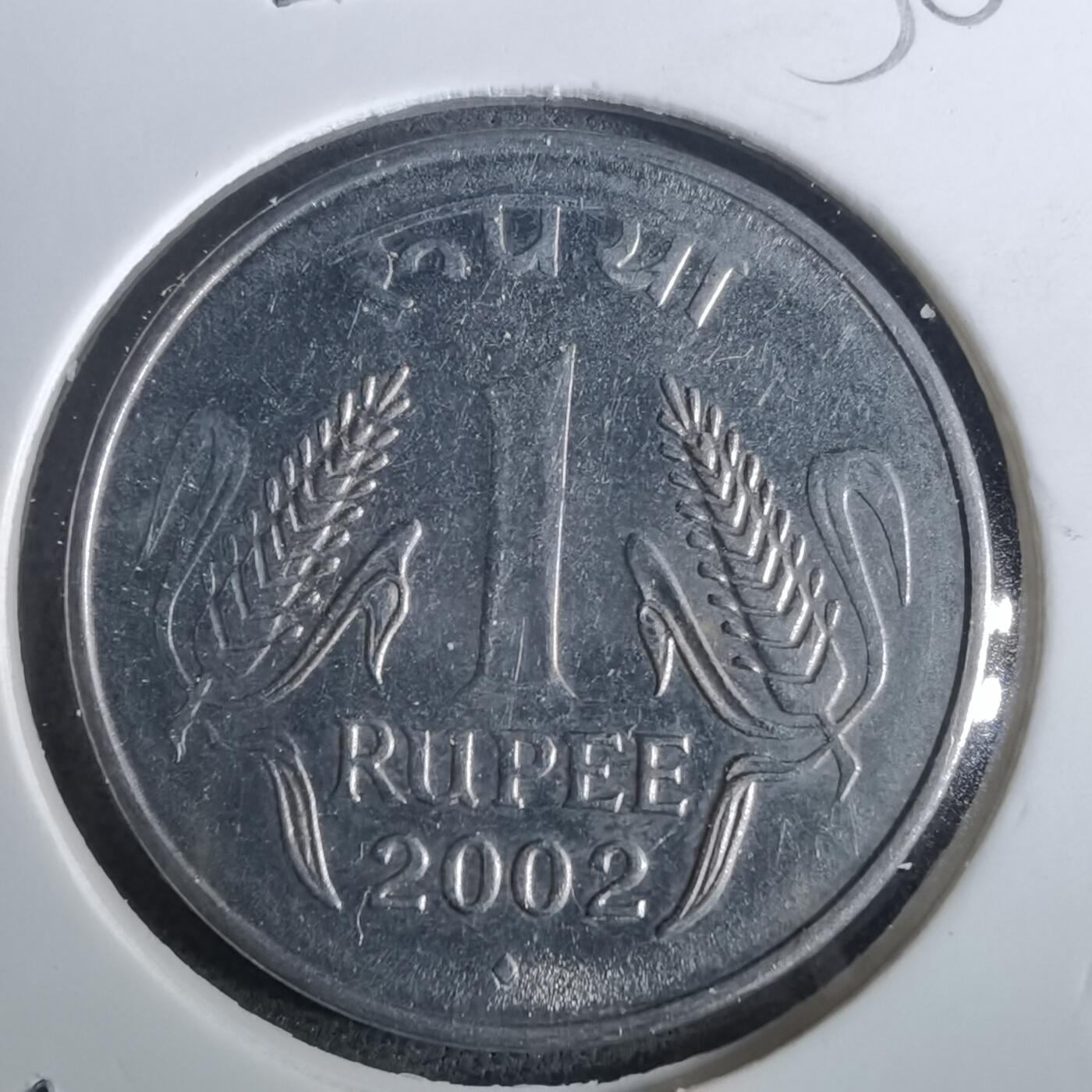 沼泽如烟--第957场