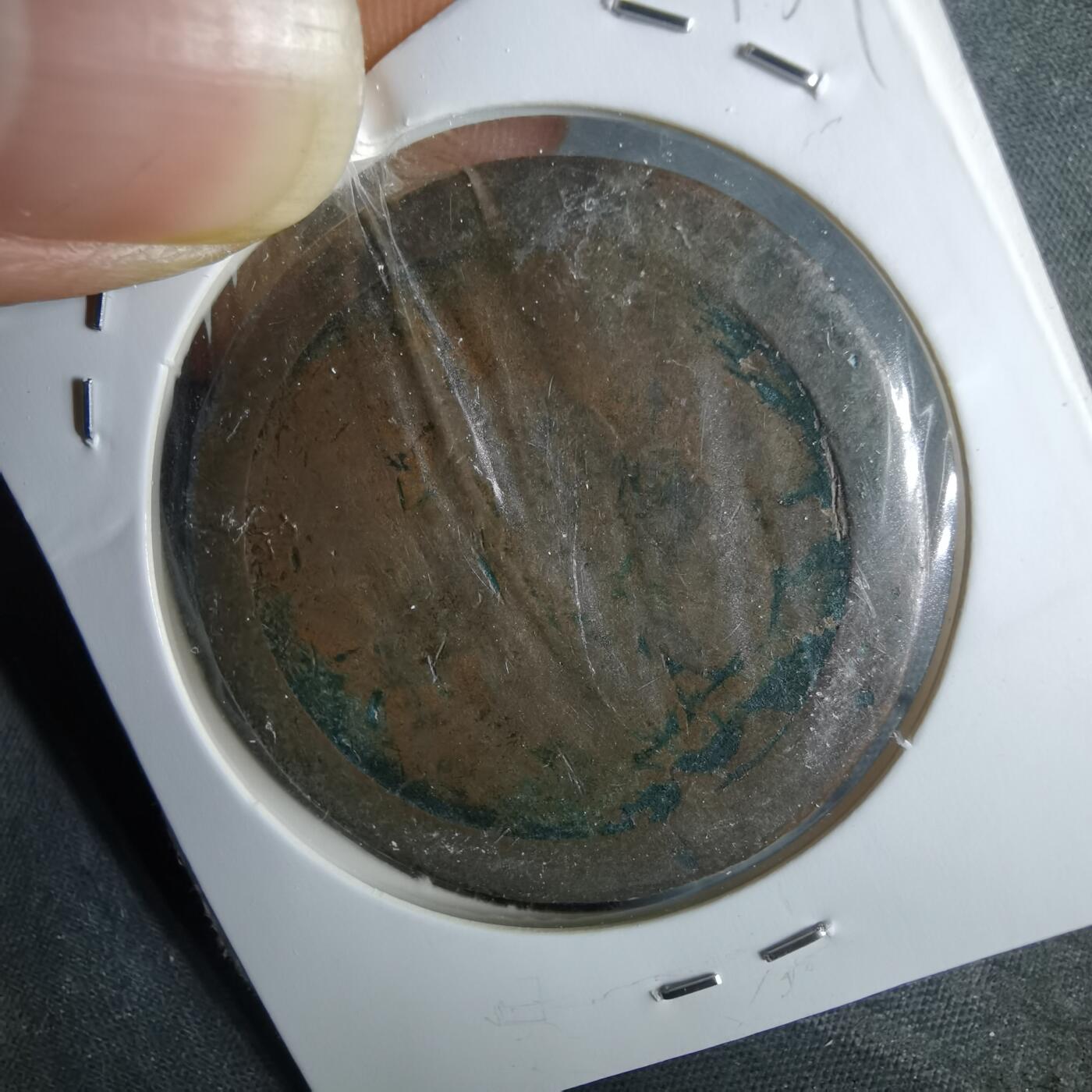 沼泽如烟--第957场