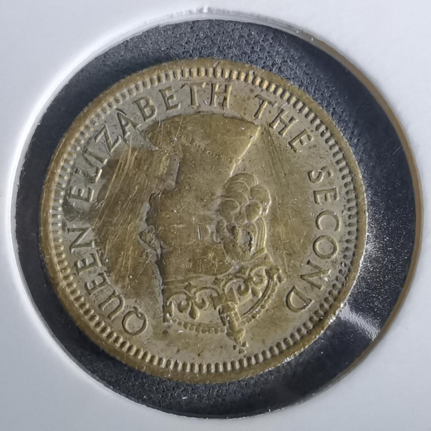 沼泽如烟--第957场