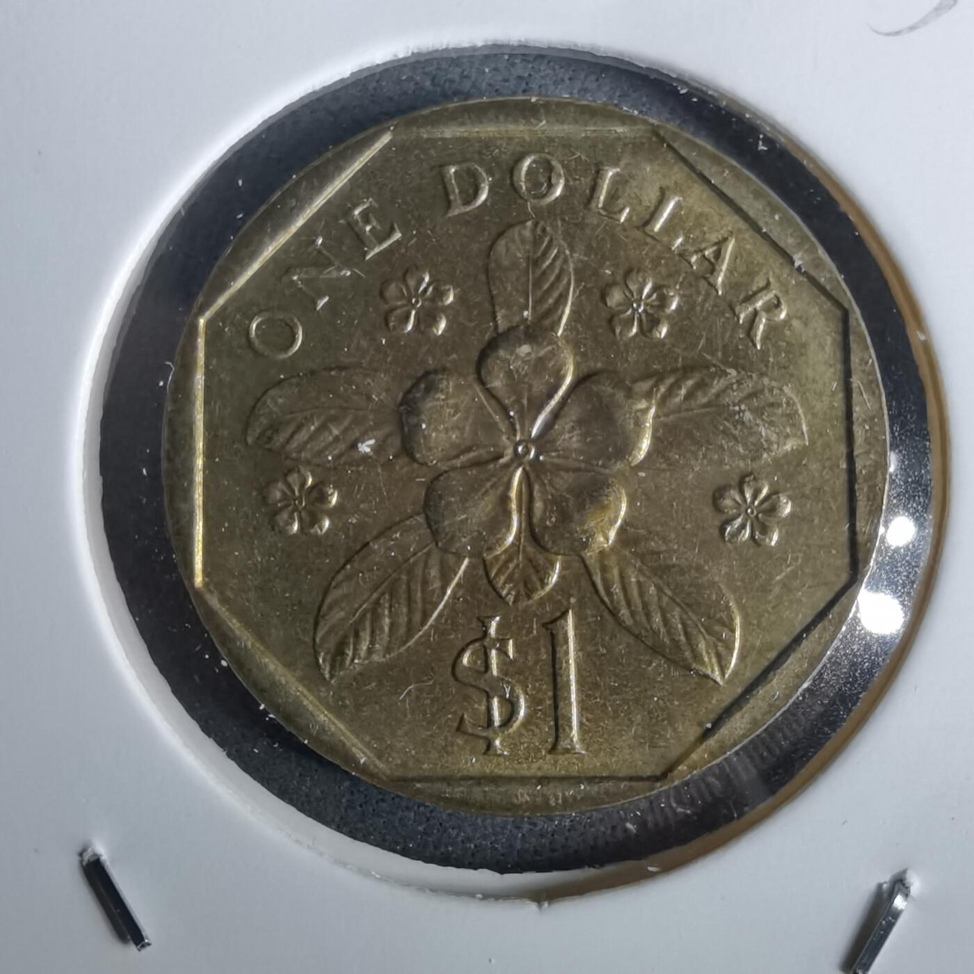 沼泽如烟--第957场