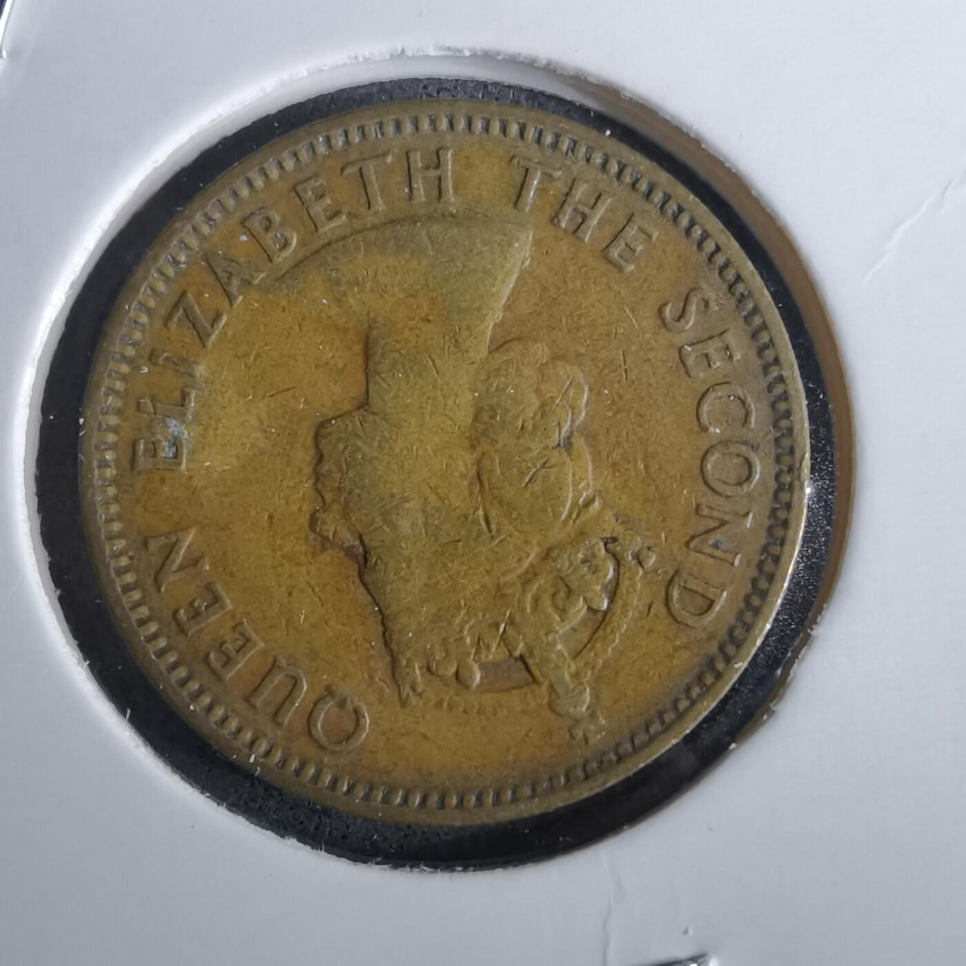 沼泽如烟--第957场