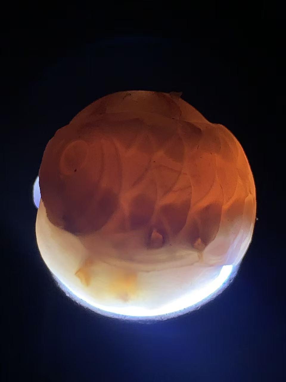 精美亚光战国红玛瑙手工巧雕龙鱼戏珠圆珠一个