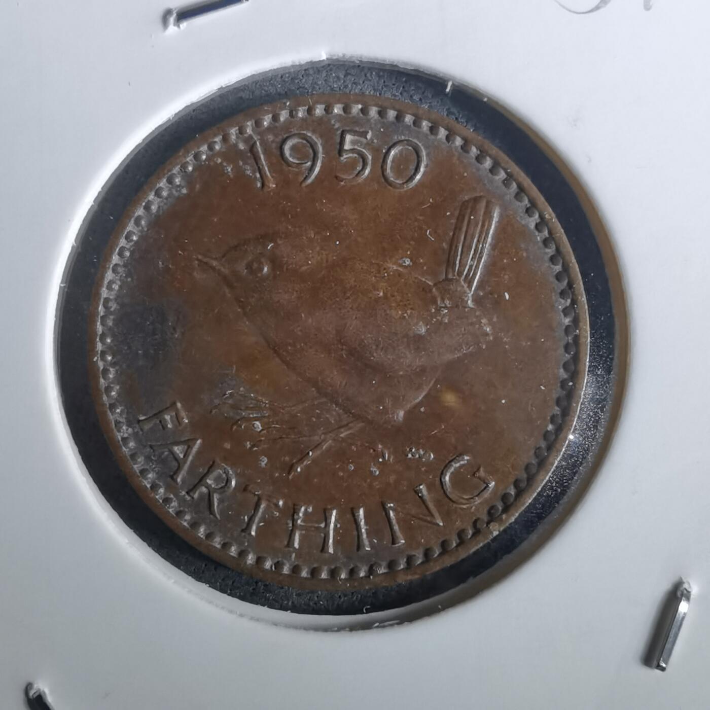 沼泽如烟--第957场