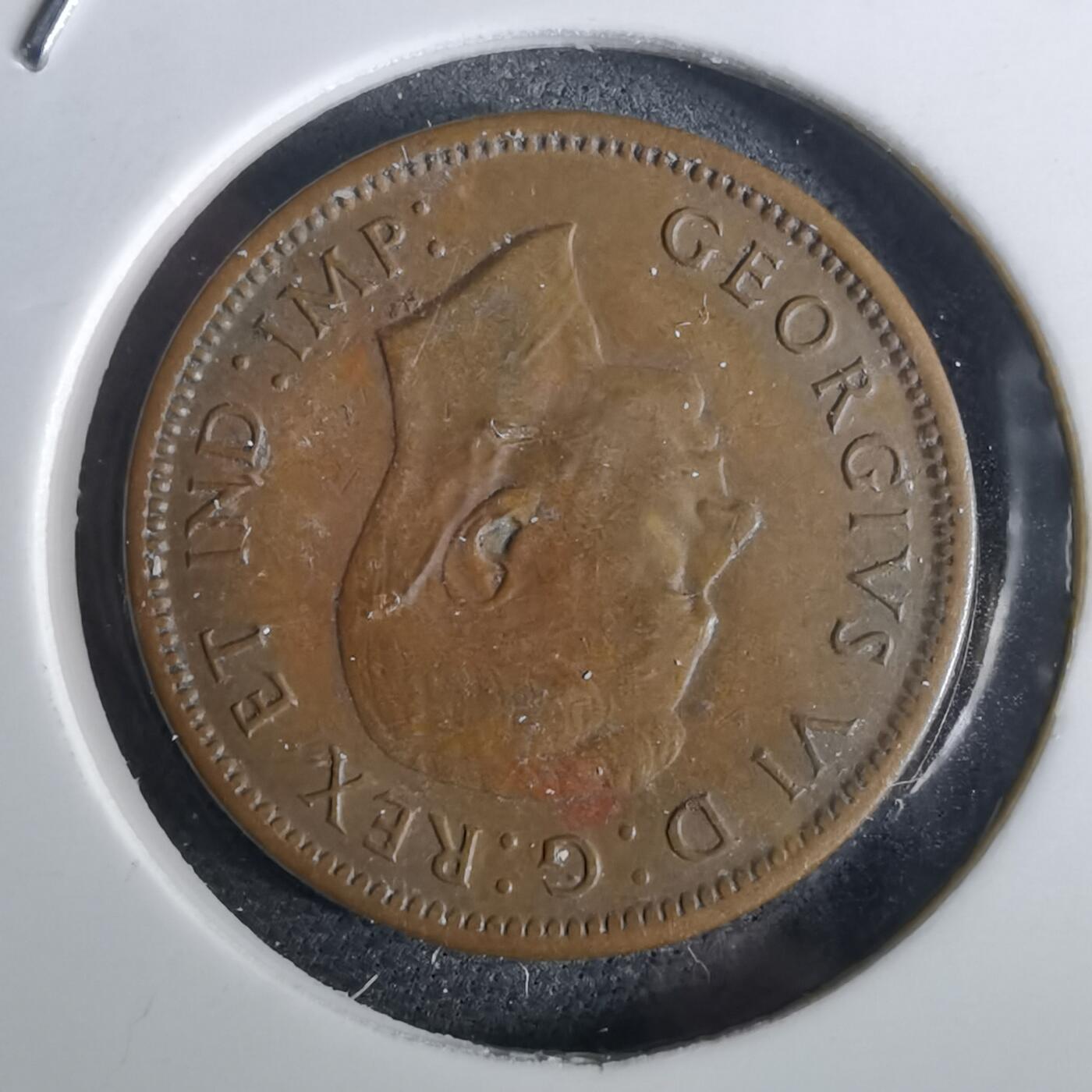 沼泽如烟--第957场